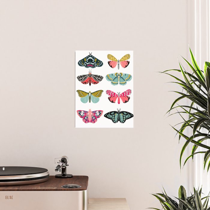 Moths - white background, moth print, moth art, moth sticker, moths, moth art Poster Gallery Image 2