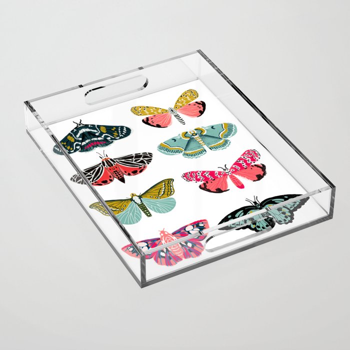 Moths - white background, moth print, moth art, moth sticker, moths, moth art Acrylic Tray Gallery Image 1