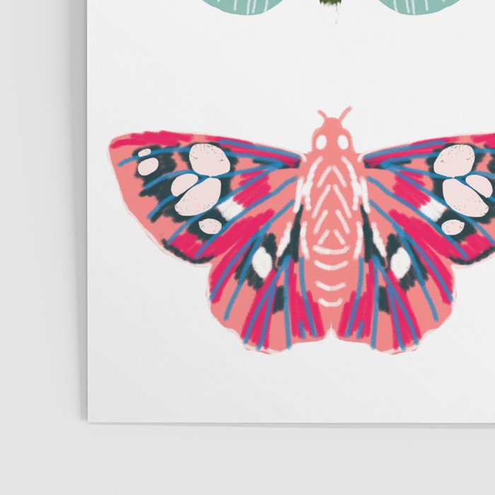 Moths - white background, moth print, moth art, moth sticker, moths, moth art Poster Gallery Image 3