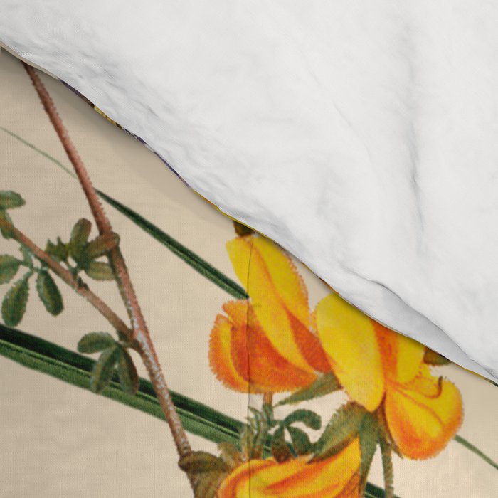 Summer is coming III Comforter Gallery Image 4