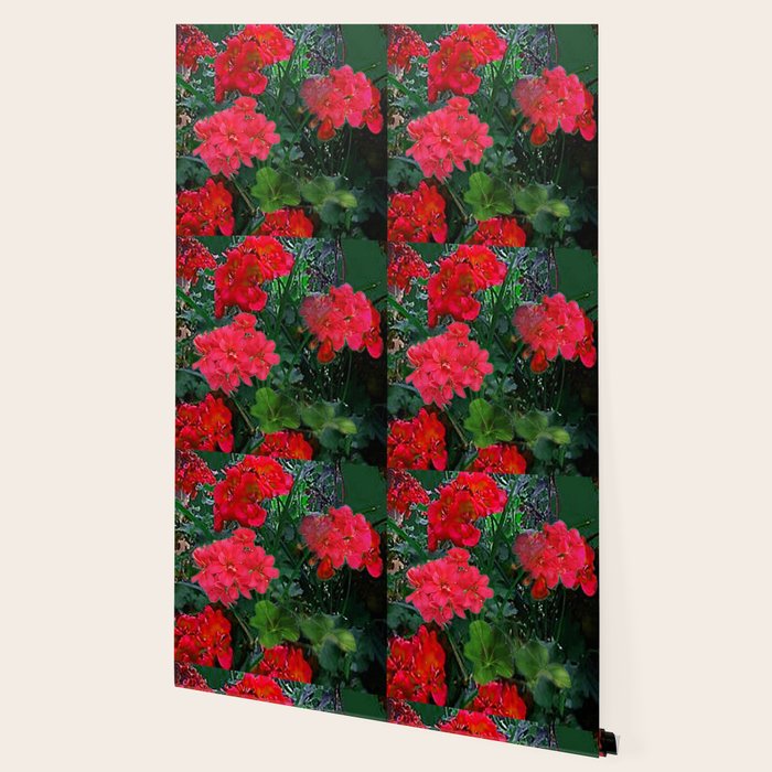 RED GERANIUMS GREEN GARDEN ART Wallpaper Gallery Image 2