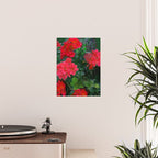 RED GERANIUMS GREEN GARDEN ART Poster Gallery Image 2