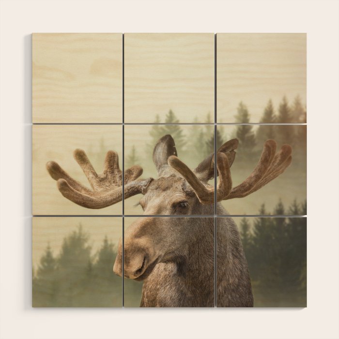 Moose Wood Wall Art Gallery Image 1