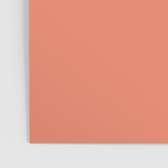 Sleepy Fish in Coral Blush Poster Gallery Image 3