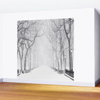 Snowy Park Wall Mural Gallery Image 2