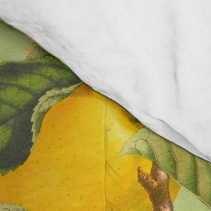 Fruit Garden Comforter Gallery Image 4