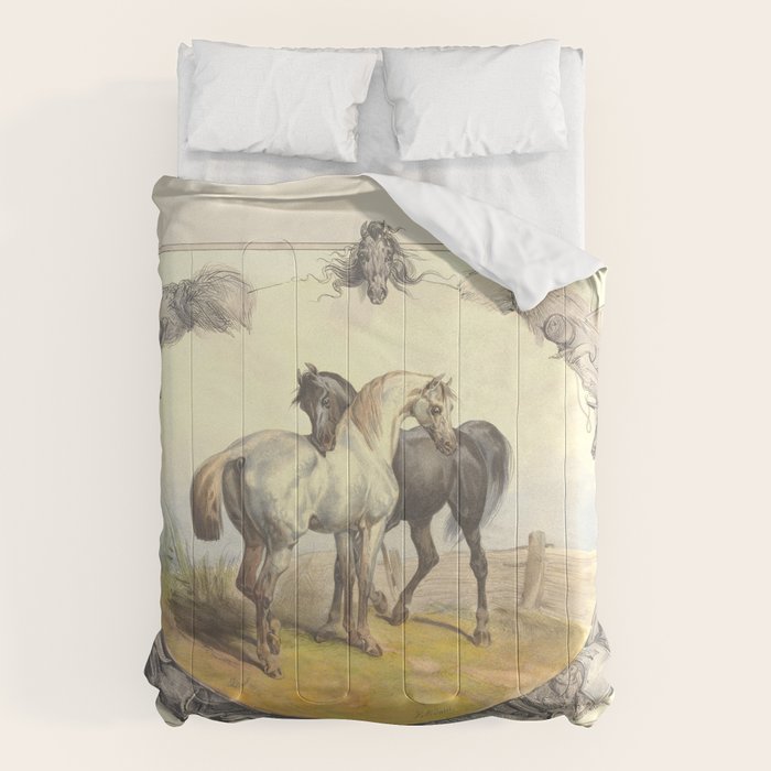 Arabian Horses - Equine Theme Vintage Illustration Comforter Gallery Image 6
