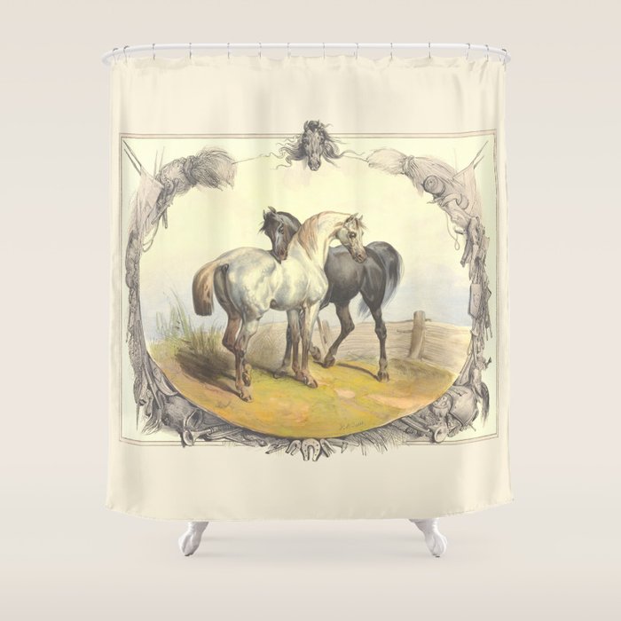 Arabian Horses - Equine Theme Vintage Illustration Shower Curtain Gallery Image 1
