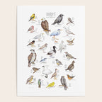 Birds of the Pacific Northwest Poster Gallery Image 4