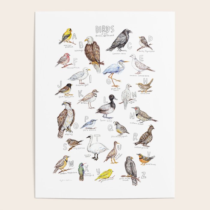 Birds of the Pacific Northwest Poster Gallery Image 4