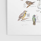 Birds of the Pacific Northwest Poster Gallery Image 3