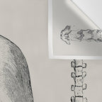 Illustrated and priced catalogue of superior surgical instruments Skull Sapine Ink Illustration Wall Tapestry Gallery Image 3