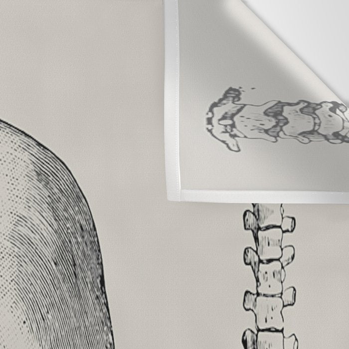 Illustrated and priced catalogue of superior surgical instruments Skull Sapine Ink Illustration Wall Tapestry Gallery Image 3