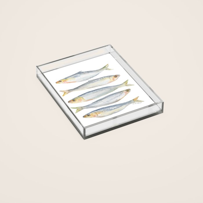 Sardine Fish Watercolor  Acrylic Tray Gallery Image 2