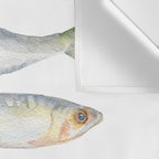 Sardine Fish Watercolor  Wall Tapestry Gallery Image 3