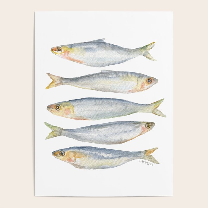 Sardine Fish Watercolor  Poster Gallery Image 1
