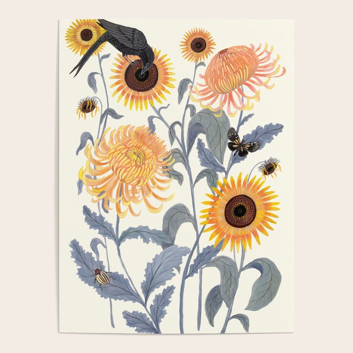 Crysanthmums and Sunflowers Poster Gallery Image 1