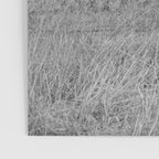 Montana Buffalo Bison | Black and White Montana Photography Poster Gallery Image 3
