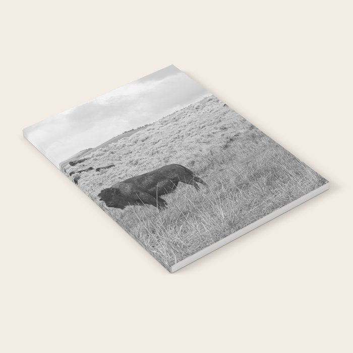 Montana Buffalo Bison | Black and White Montana Photography Notebook Gallery Image 1
