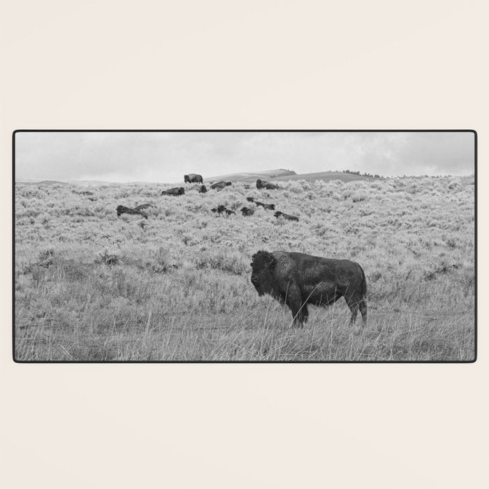 Montana Buffalo Bison | Black and White Montana Photography Desk Mat Gallery Image 3