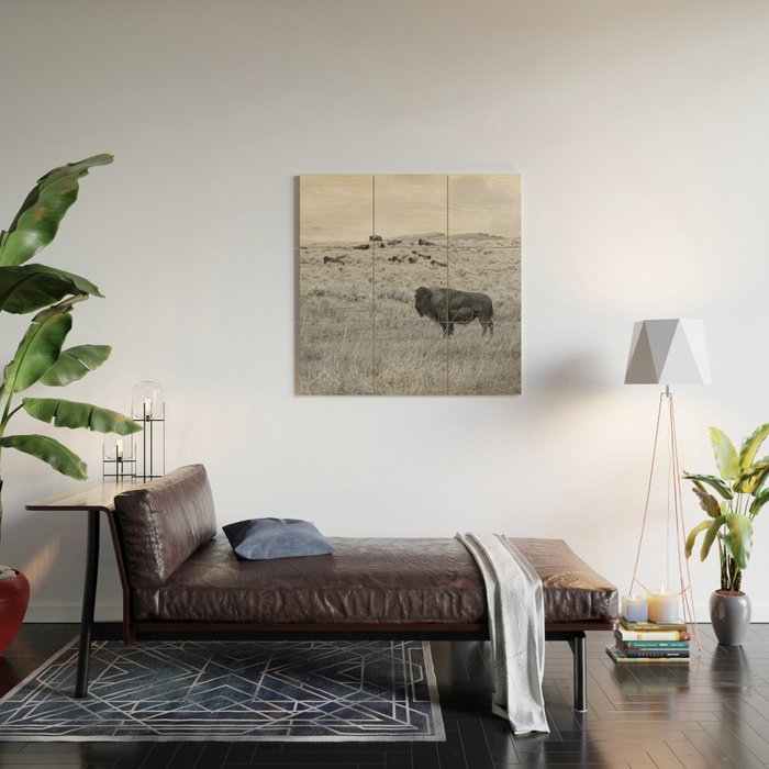 Montana Buffalo Bison | Black and White Montana Photography Wood Wall Art Gallery Image 2