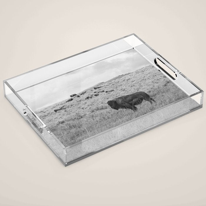 Montana Buffalo Bison | Black and White Montana Photography Acrylic Tray Gallery Image 1