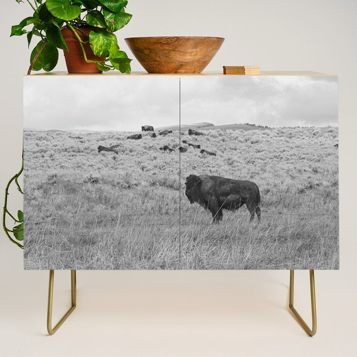 Montana Buffalo Bison | Black and White Montana Photography Credenza Gallery Image 1