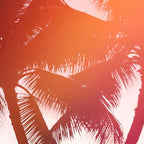 Aloha palms Coffee Mug Gallery Image 2