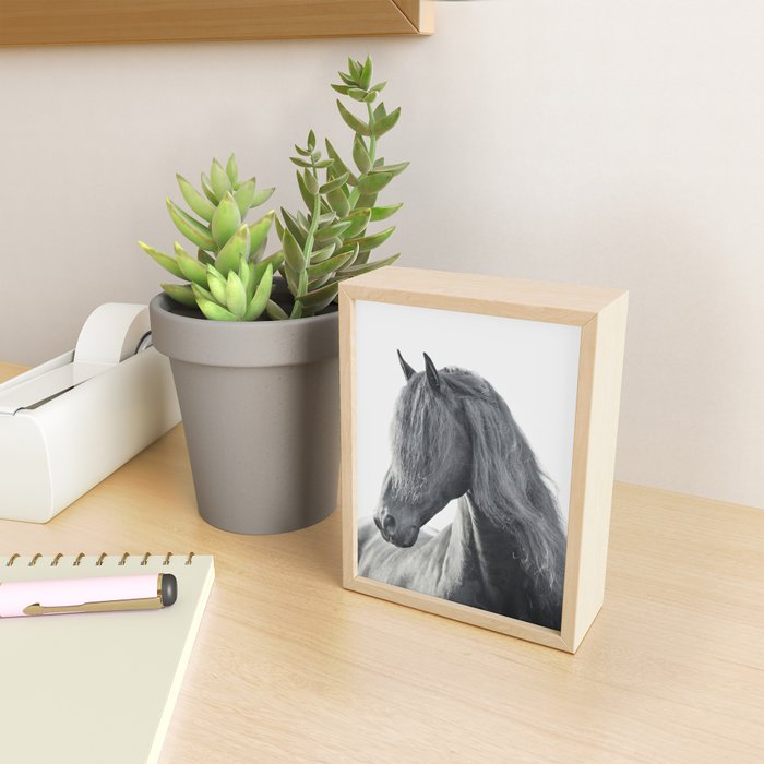 Wild Stallion - Black and White Photography, Friesian Horse Mini Art Print Gallery Image 2