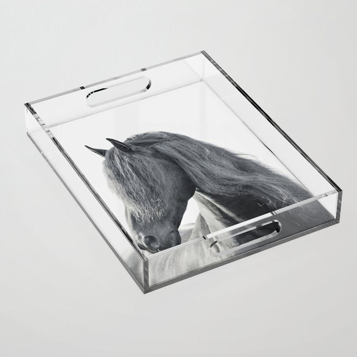Wild Stallion - Black and White Photography, Friesian Horse Acrylic Tray Gallery Image 1