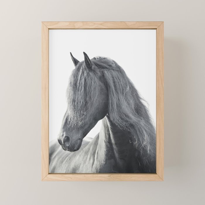 Wild Stallion - Black and White Photography, Friesian Horse Mini Art Print Gallery Image 1