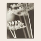 Dill Botanical Abstract 3 Notebook Gallery Image 4