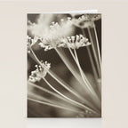 Dill Botanical Abstract 3 Stationery Card Gallery Image 2