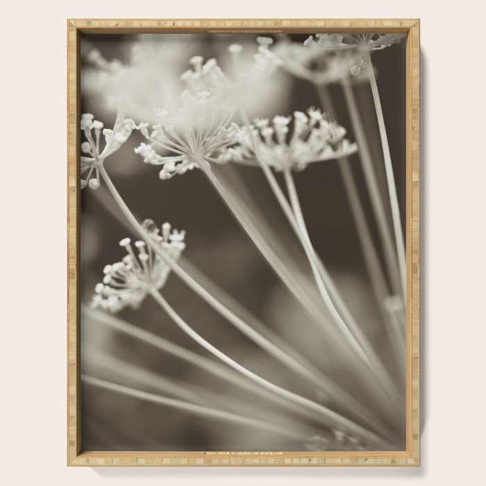 Dill Botanical Abstract 3 Serving Tray Gallery Image 1