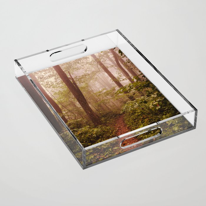 Smoky Mountain Forest Adventure II - National Park Nature Photography Acrylic Tray Gallery Image 1