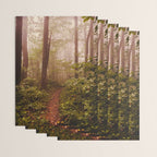 Smoky Mountain Forest Adventure II - National Park Nature Photography Wrapping Paper Gallery Image 3