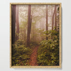 Smoky Mountain Forest Adventure II - National Park Nature Photography Serving Tray Gallery Image 1
