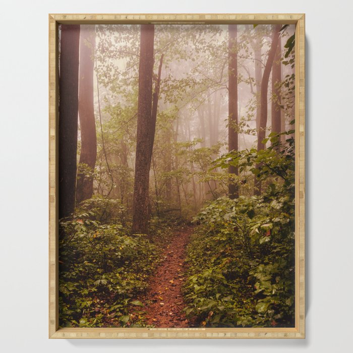 Smoky Mountain Forest Adventure II - National Park Nature Photography Serving Tray Gallery Image 1