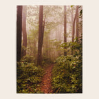 Smoky Mountain Forest Adventure II - National Park Nature Photography Poster Gallery Image 4