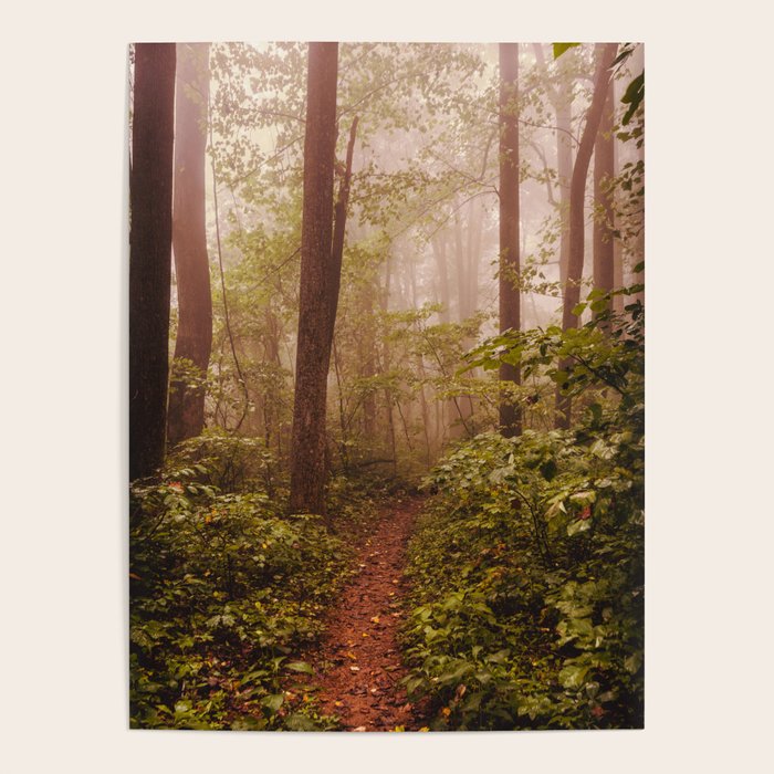Smoky Mountain Forest Adventure II - National Park Nature Photography Poster Gallery Image 4