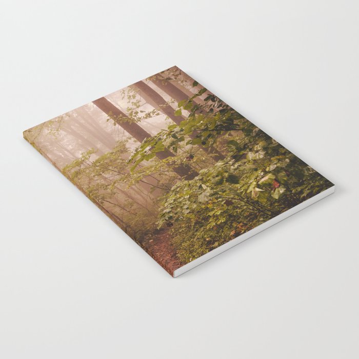 Smoky Mountain Forest Adventure II - National Park Nature Photography Notebook Gallery Image 1