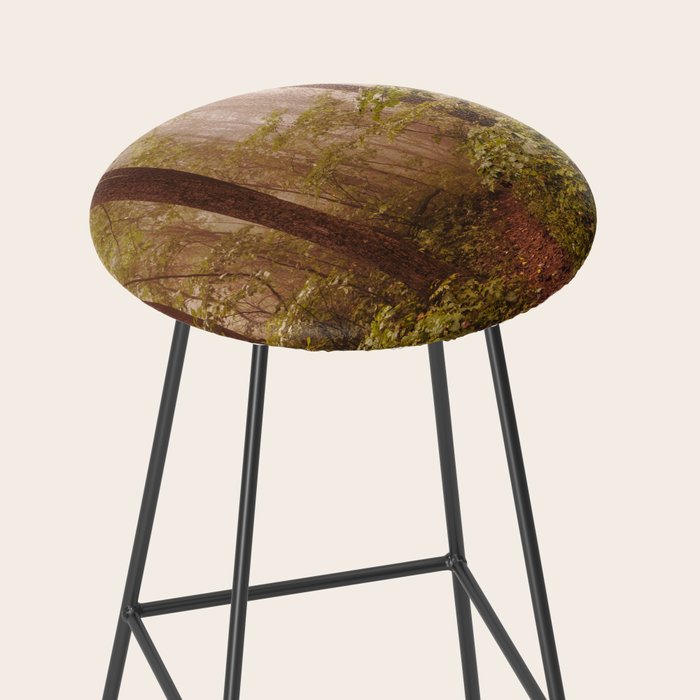 Smoky Mountain Forest Adventure II - National Park Nature Photography Stool Gallery Image 2