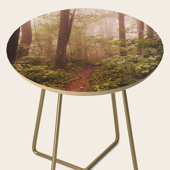 Smoky Mountain Forest Adventure II - National Park Nature Photography Side Table Gallery Image 2