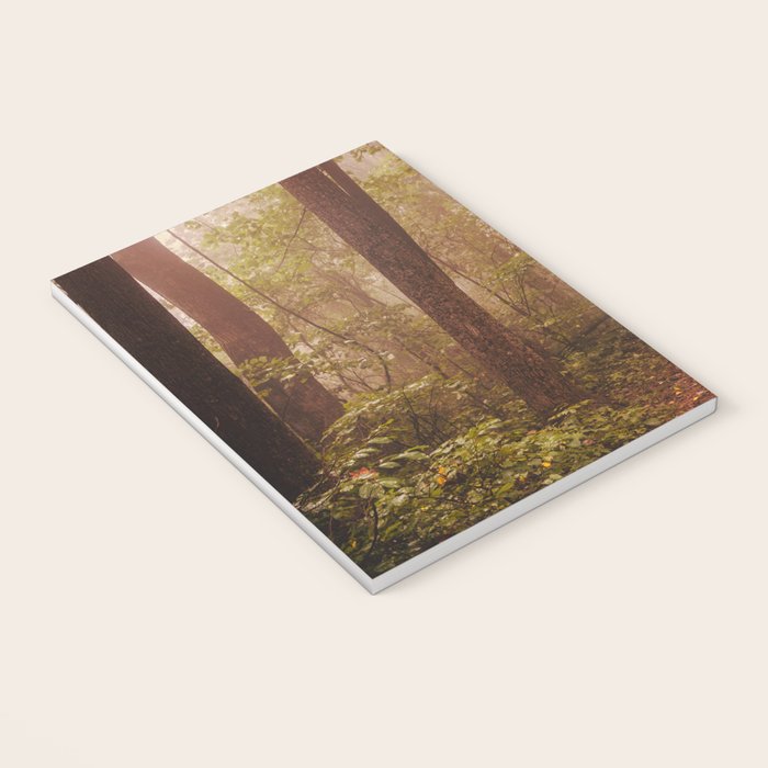 Smoky Mountain Forest Adventure II - National Park Nature Photography Notebook Gallery Image 3