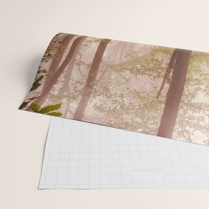 Smoky Mountain Forest Adventure II - National Park Nature Photography Wrapping Paper Gallery Image 2