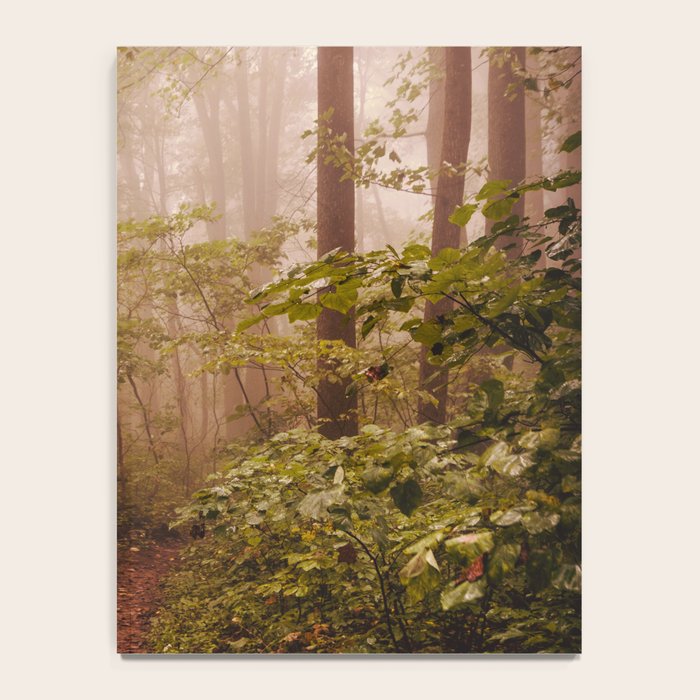 Smoky Mountain Forest Adventure II - National Park Nature Photography Notebook Gallery Image 4