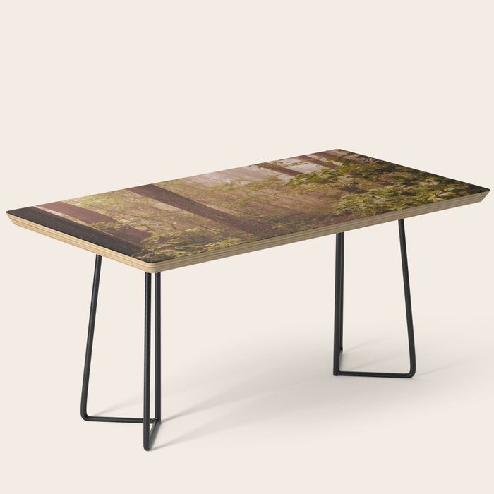 Smoky Mountain Forest Adventure II - National Park Nature Photography Coffee Table Gallery Image 1