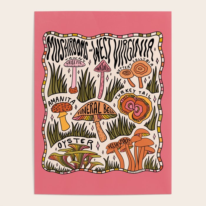 Mushrooms of West Virginia Poster Gallery Image 4