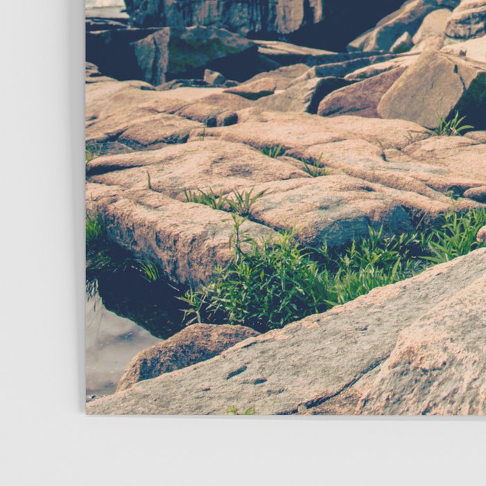 Acadia Poster Gallery Image 3