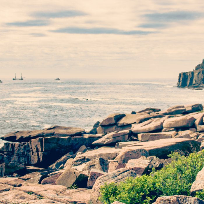 Acadia Coffee Mug Gallery Image 2